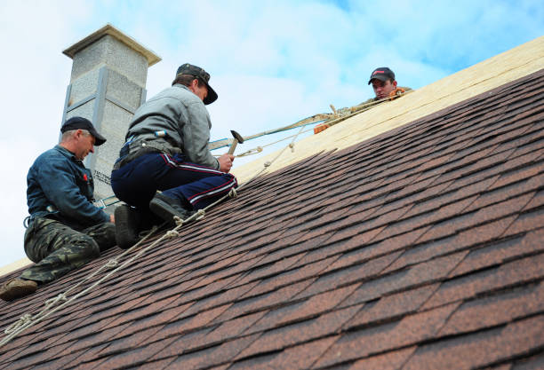 Best New Roof Installation  in Ridge, NY