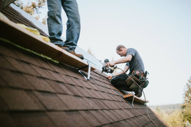 Best Gutter Installation and Roofing  in Ridge, NY